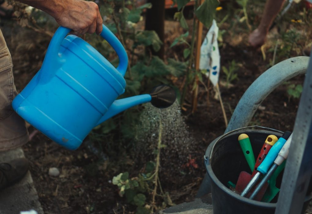 Photo Gardening tools