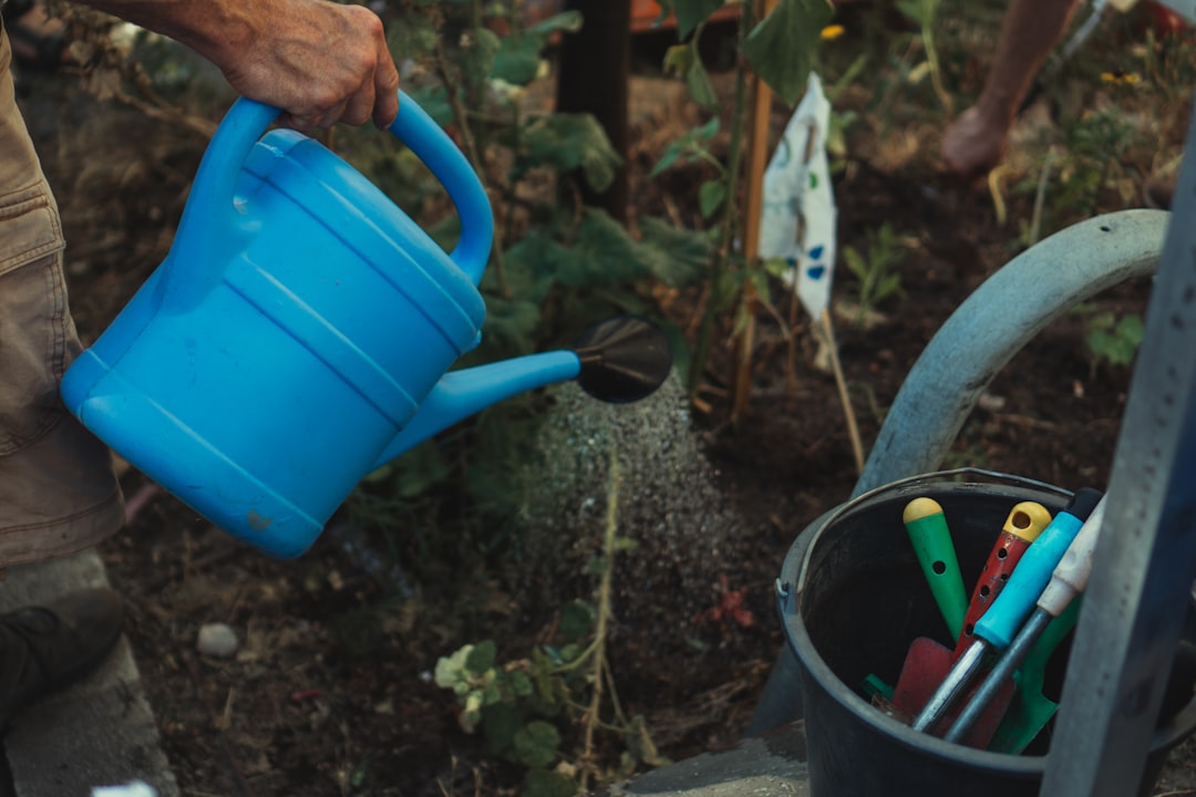 Photo Gardening tools